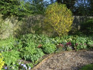 East border Spring 2013